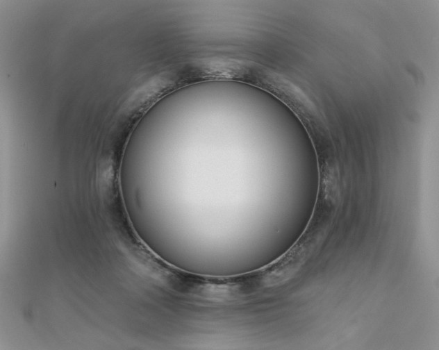 X0000110900314200906181328