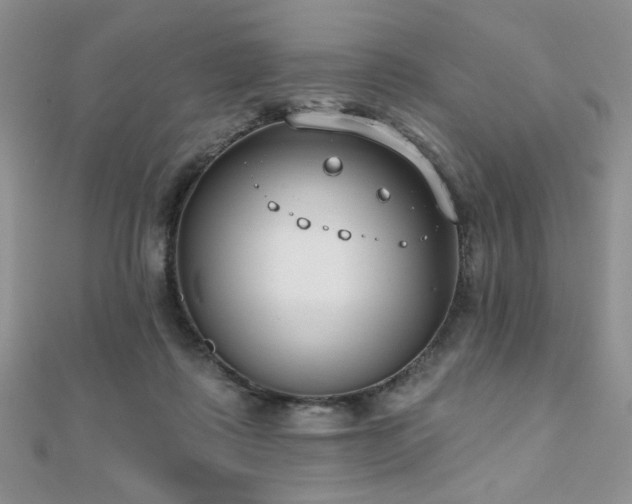 X0000110900315200906181328