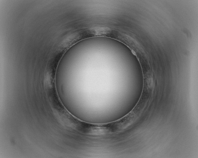 X0000110900316200906181328