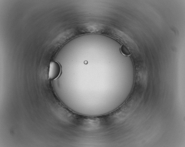 X0000110900317200906181328