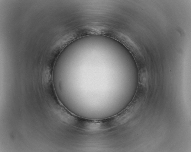 X0000110900318200906181328
