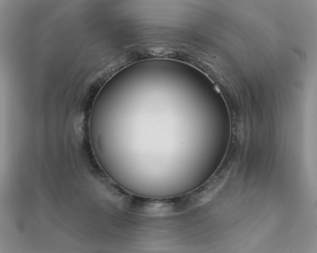 X0000110900319200906181328