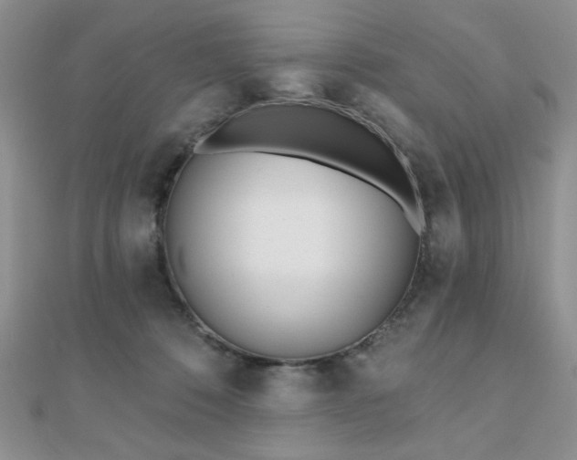 X0000110900320200906181328