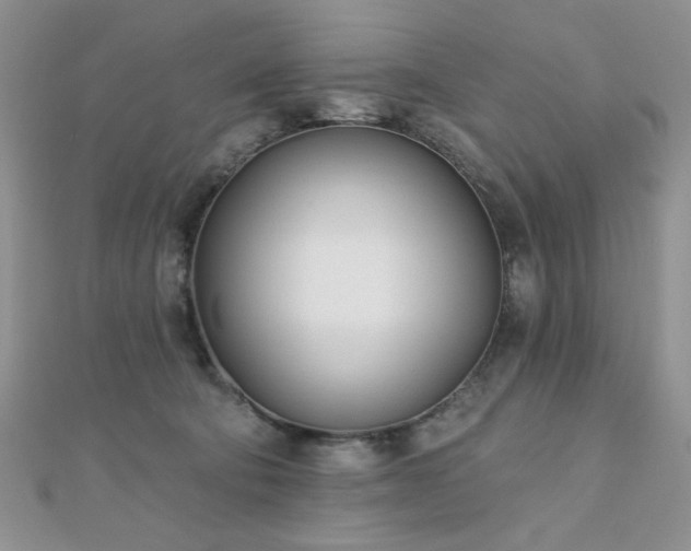 X0000110900322200906181328