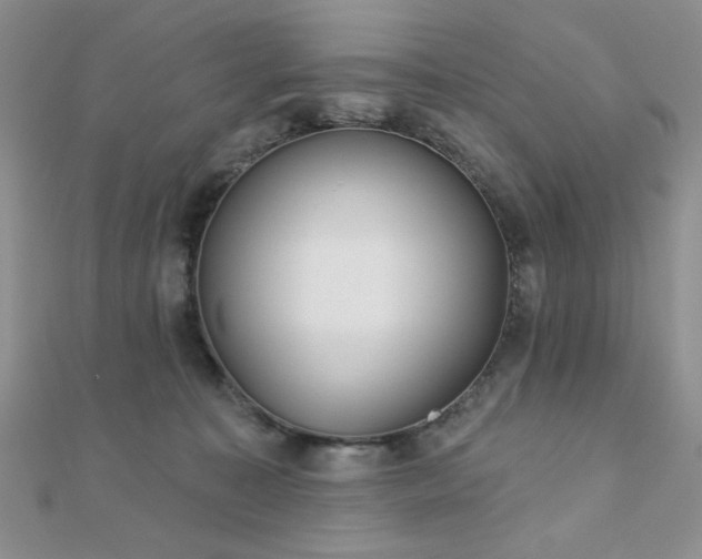 X0000110900323200906181328