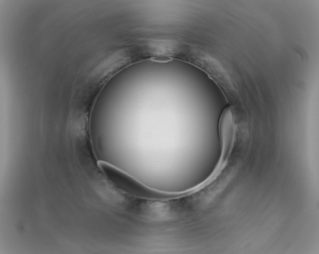 X0000110900325200906181328
