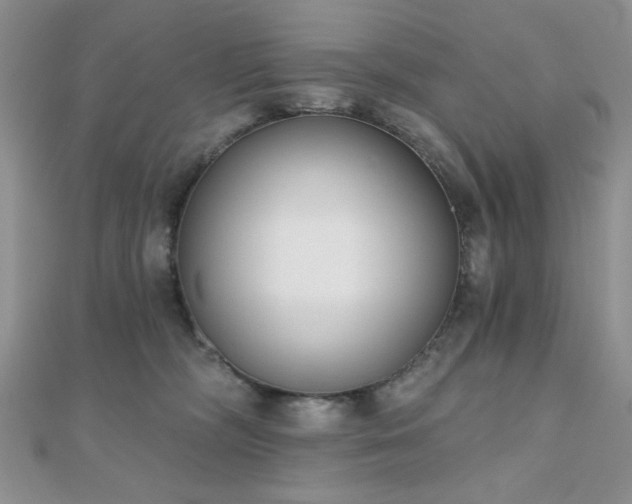 X0000110900326200906181327