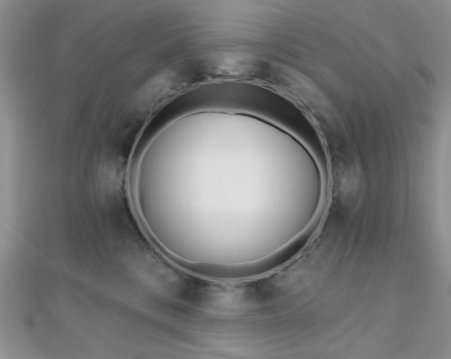 X0000110900328200906181327