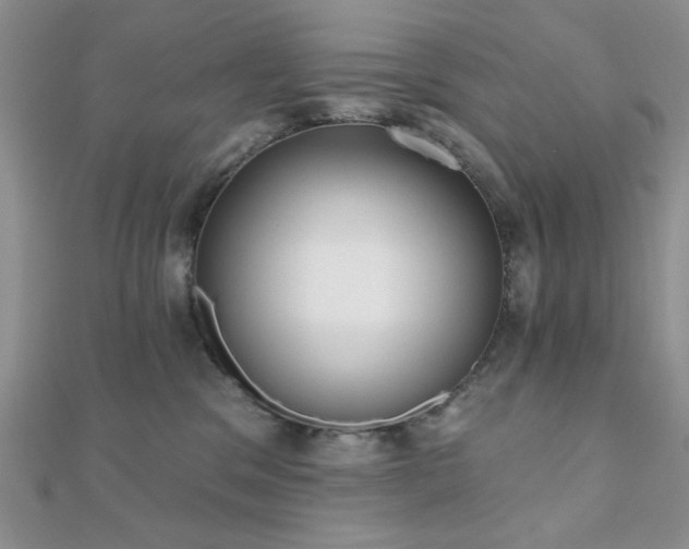 X0000110900329200906181327