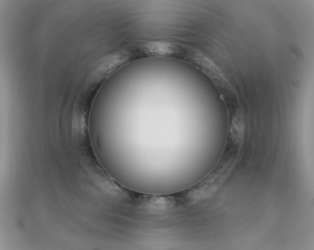X0000110900330200906181327