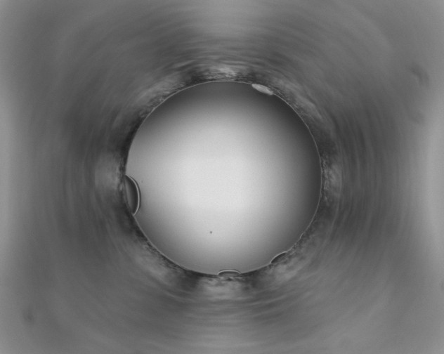 X0000110900331200906181327