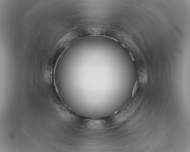 X0000110900332200906181327