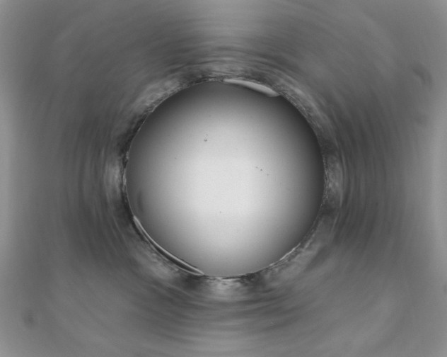 X0000110900333200906181327