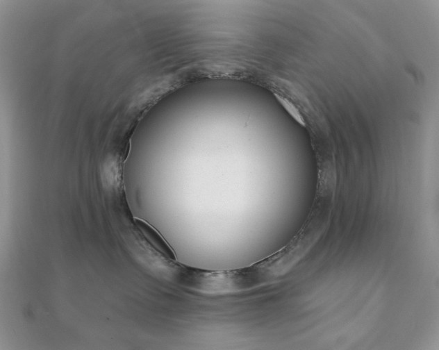 X0000110900335200906181327