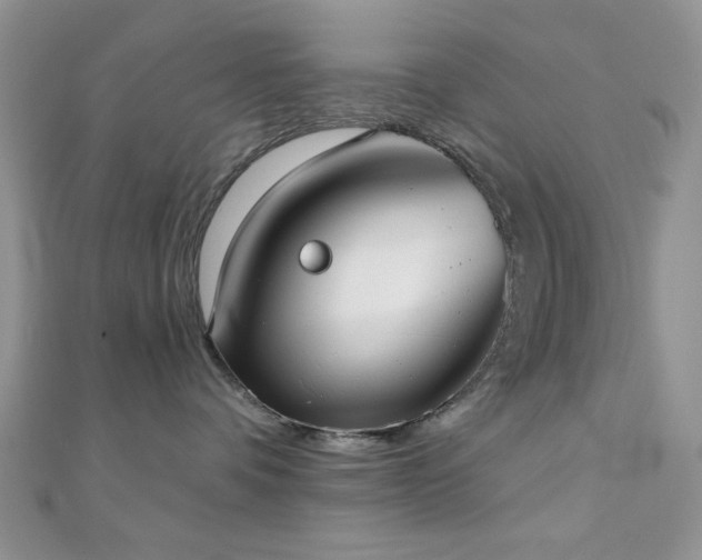 X0000110900336200906181327