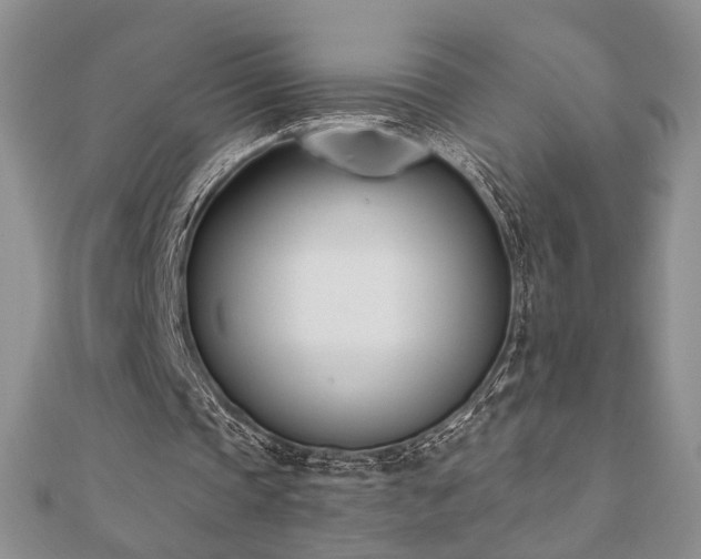 X0000110900337200906181327