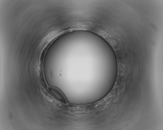 X0000110900338200906181327
