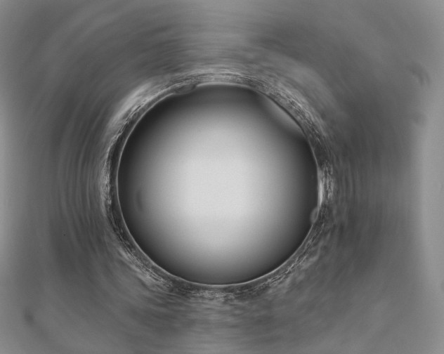 X0000110900339200906181327