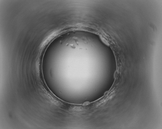 X0000110900341200906181327