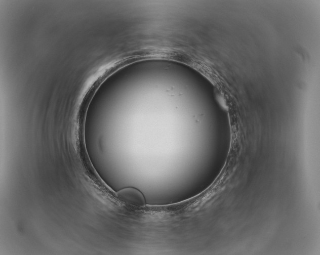 X0000110900342200906181327