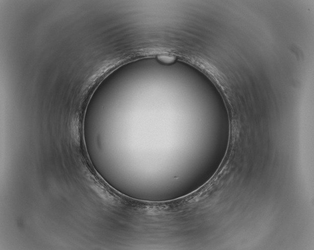 X0000110900345200906181327
