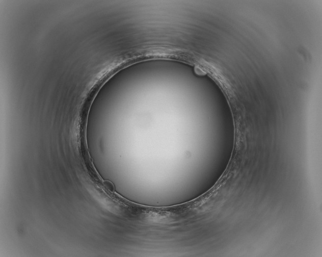 X0000110900346200906181327
