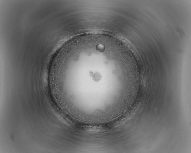 X0000110900347200906181327