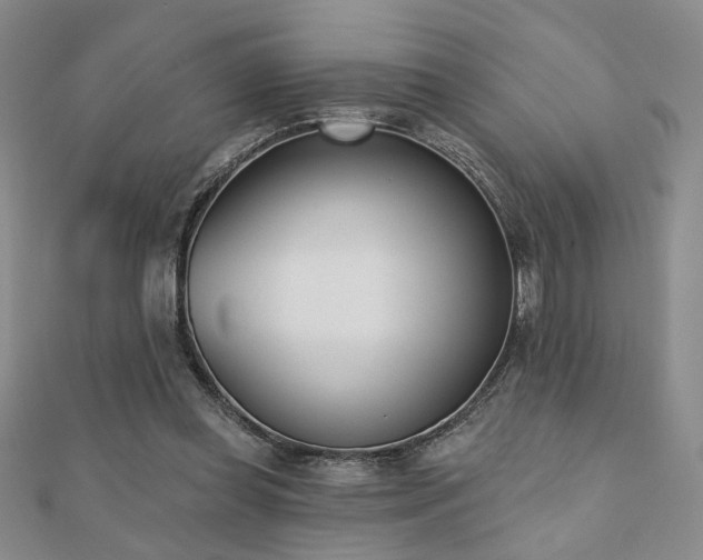 X0000110900349200906181327