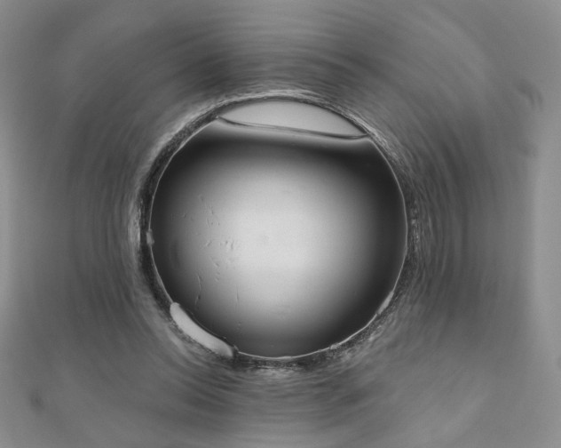 X0000110900350200906181327