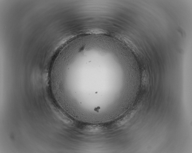 X0000110900351200906181327