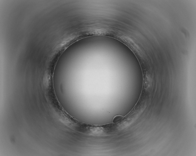 X0000110900355200906181327