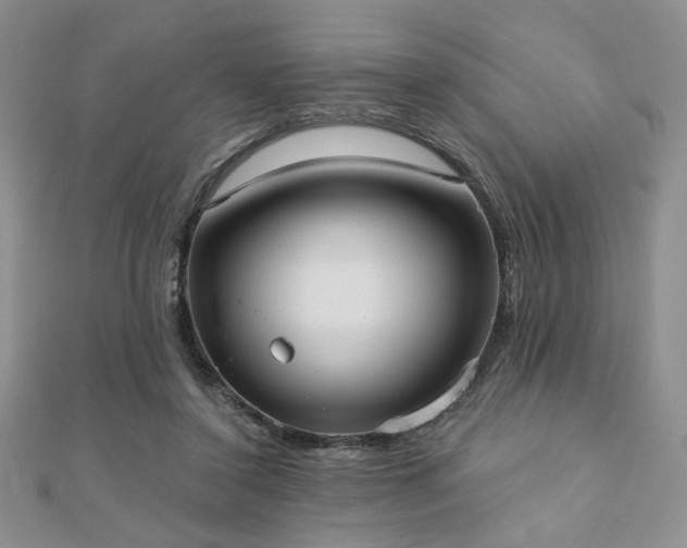 X0000110900356200906181327
