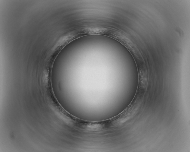 X0000110900357200906181327