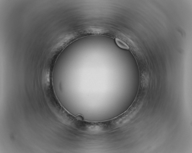 X0000110900358200906181327