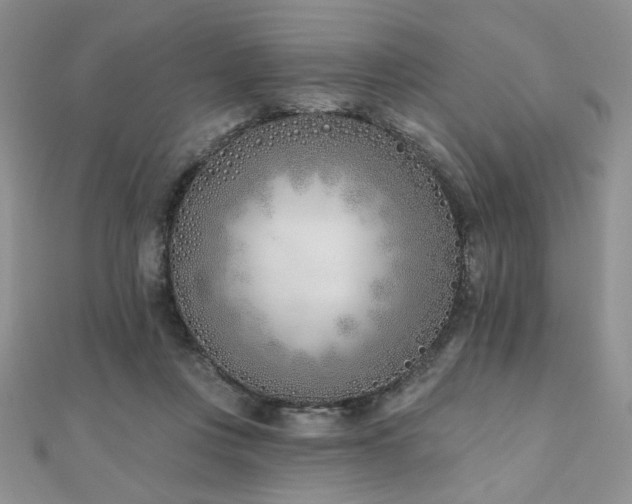 X0000110900359200906181327