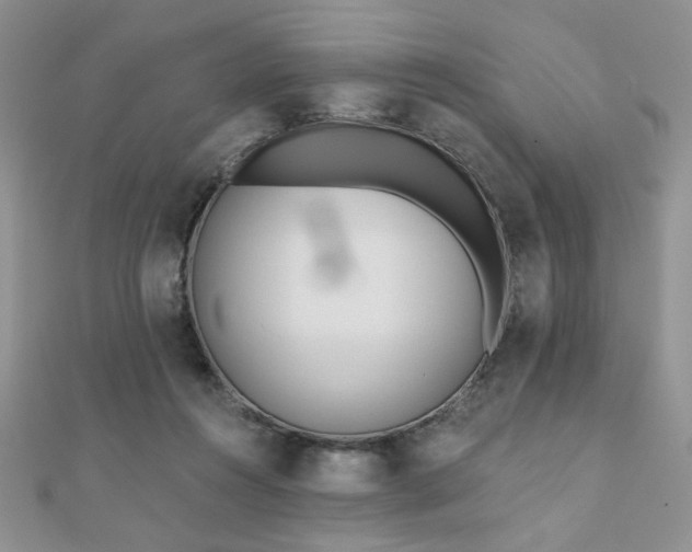 X0000110900360200906181327