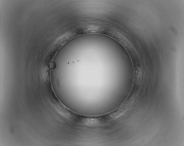 X0000110900361200906181327