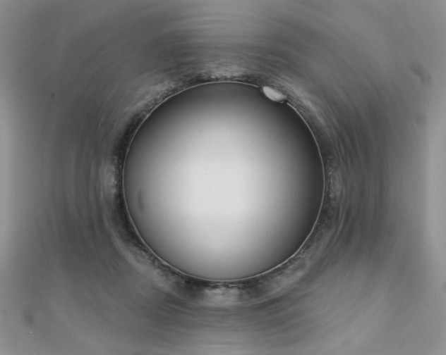 X0000110900362200906181327