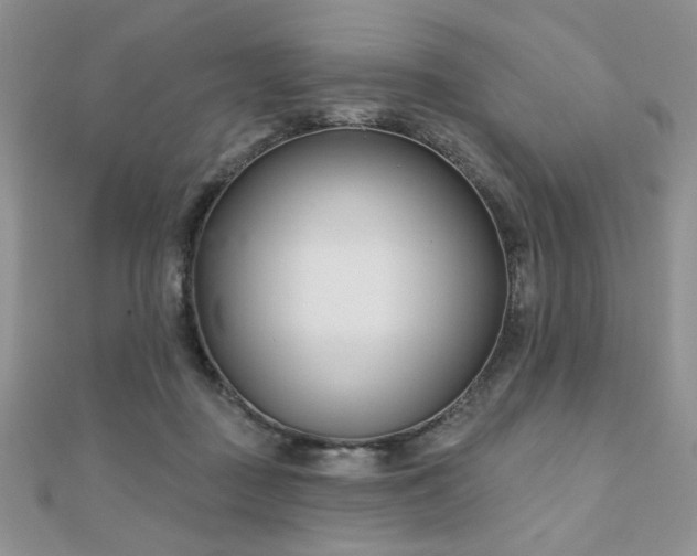 X0000110900363200906181327
