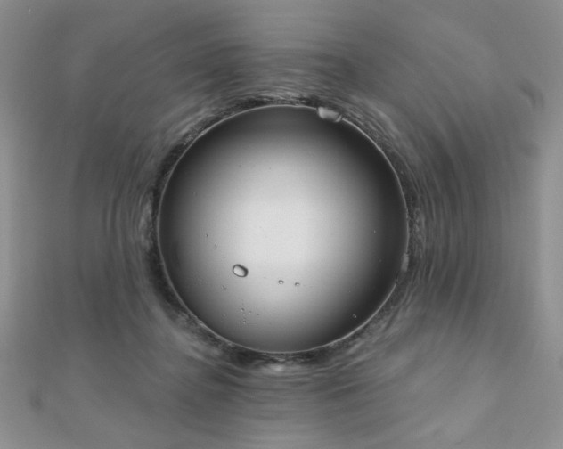 X0000110900364200906181327