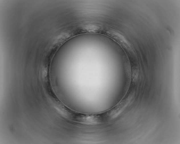 X0000110900365200906181327