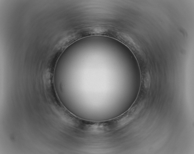 X0000110900366200906181327