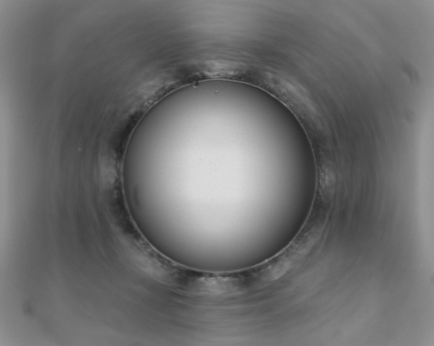 X0000110900367200906181327