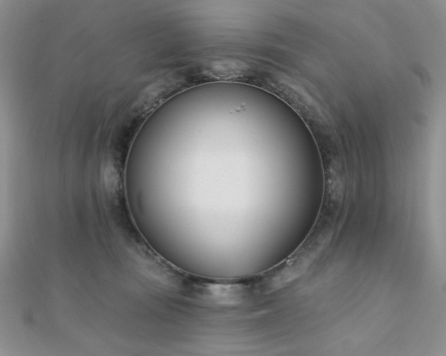 X0000110900371200906181327