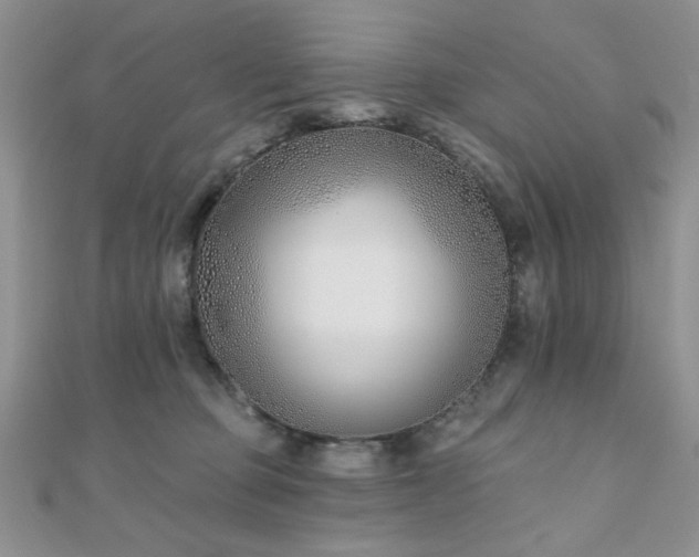 X0000110900373200906181327