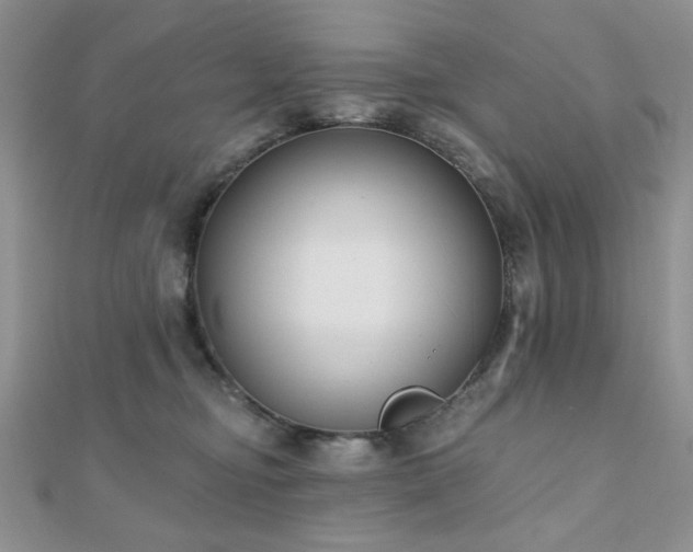 X0000110900374200906181327