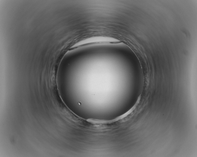 X0000110900376200906181327