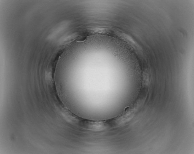 X0000110900377200906181327