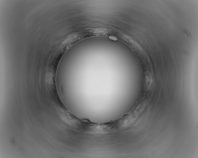 X0000110900379200906181327