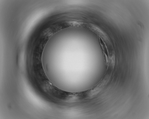 X0000110900381200906181327